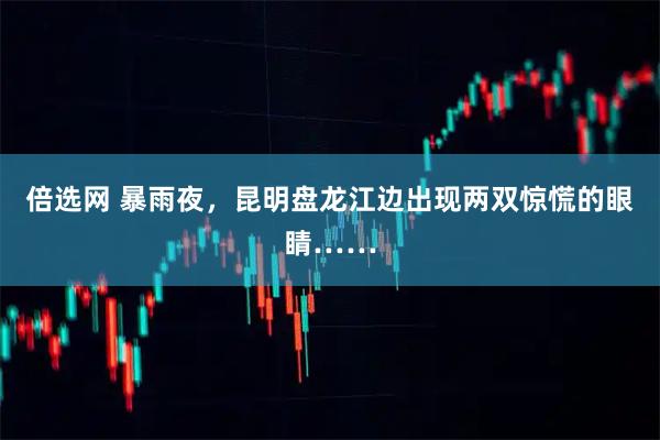 倍选网 暴雨夜，昆明盘龙江边出现两双惊慌的眼睛……