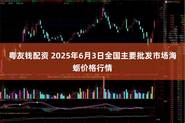 粤友钱配资 2025年6月3日全国主要批发市场海蛎价格行情