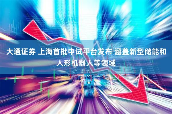大通证券 上海首批中试平台发布 涵盖新型储能和人形机器人等领域