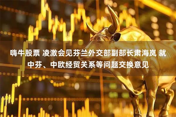 嗨牛股票 凌激会见芬兰外交部副部长肃海岚 就中芬、中欧经贸关系等问题交换意见