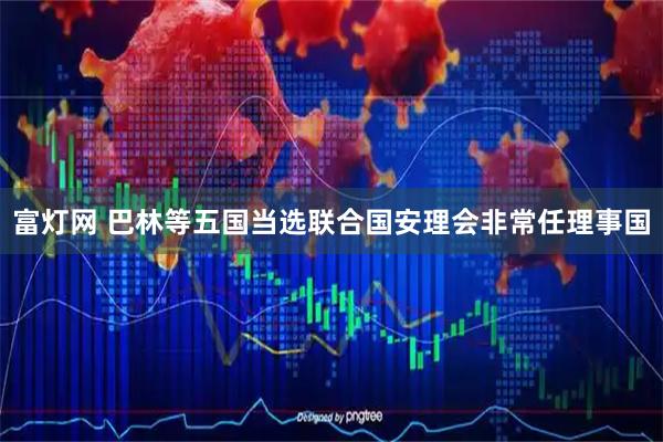富灯网 巴林等五国当选联合国安理会非常任理事国