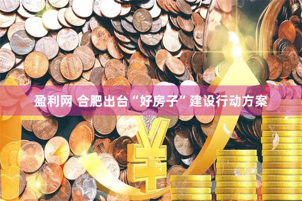 盈利网 合肥出台“好房子”建设行动方案